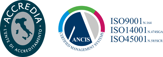 Logo Ancis